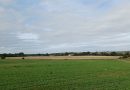 Derry Downs: The Fight to Protect Orpington’s Green Belt